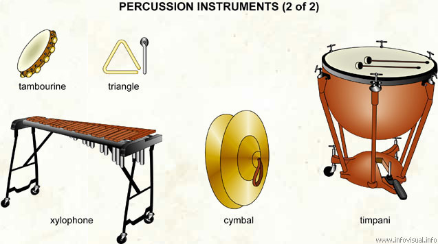Percussion instruments (2 of 2)  (Visual Dictionary)
